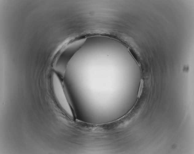 X0000090720395200708171931