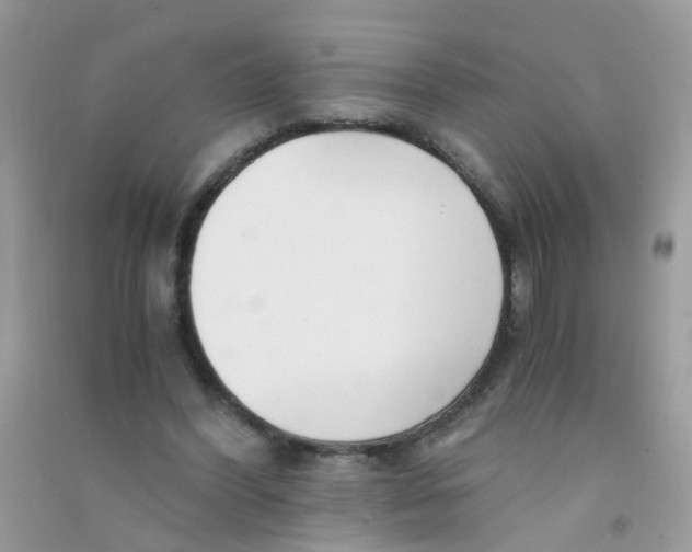 X0000090720396200708171931