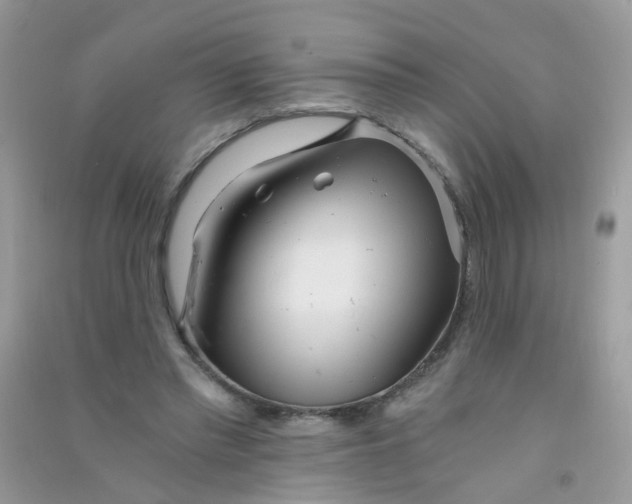 X0000090720397200708171931