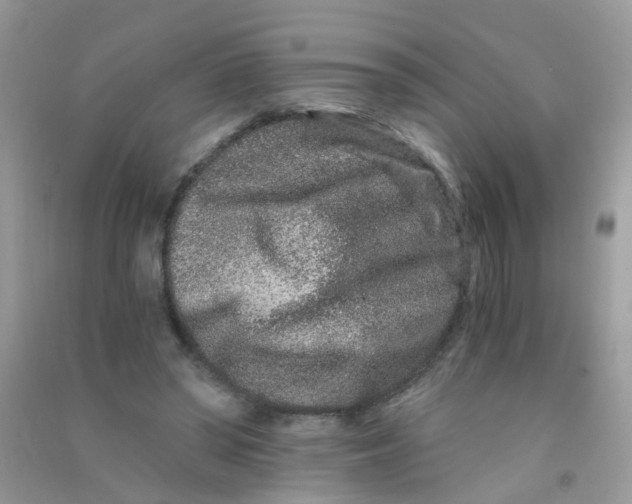 X0000090720398200708171931