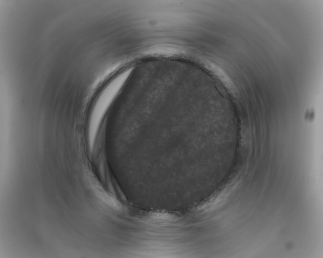 X0000090720399200708171931