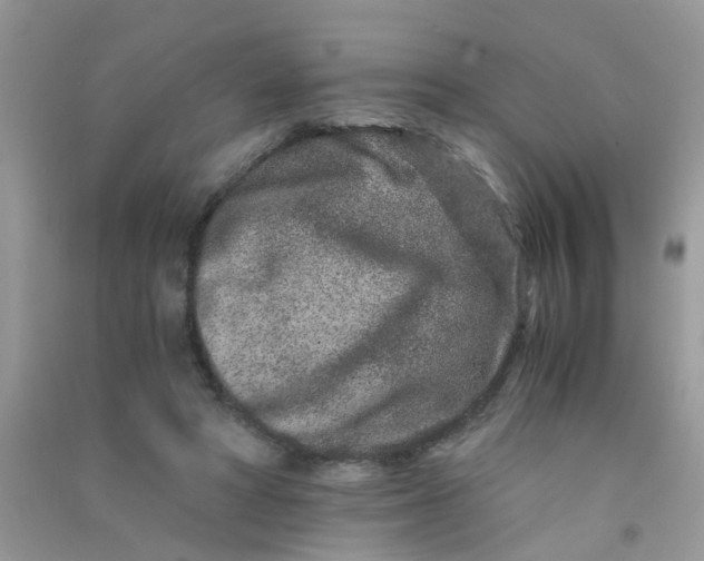 X0000090720402200708171931