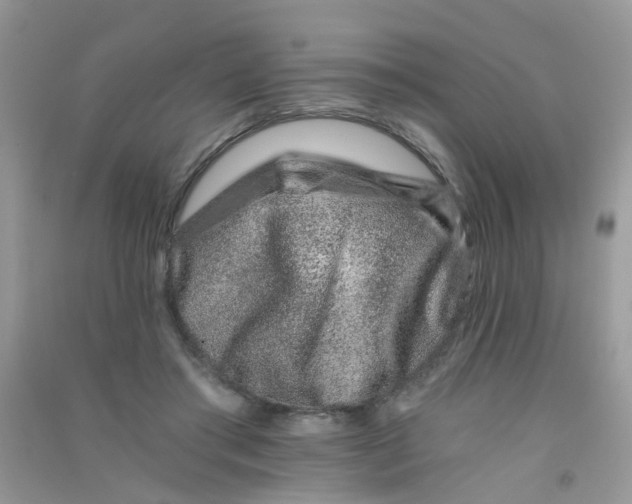 X0000090720405200708171930