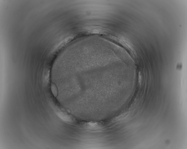 X0000090720406200708171930