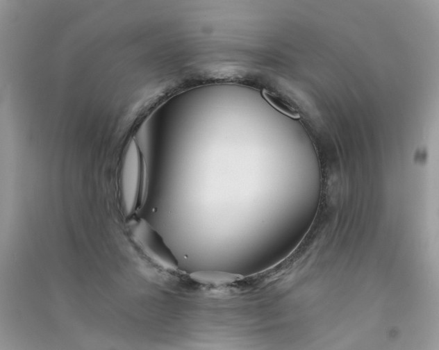 X0000090720407200708171930