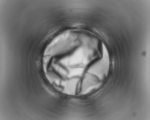 X0000090720408200708171930