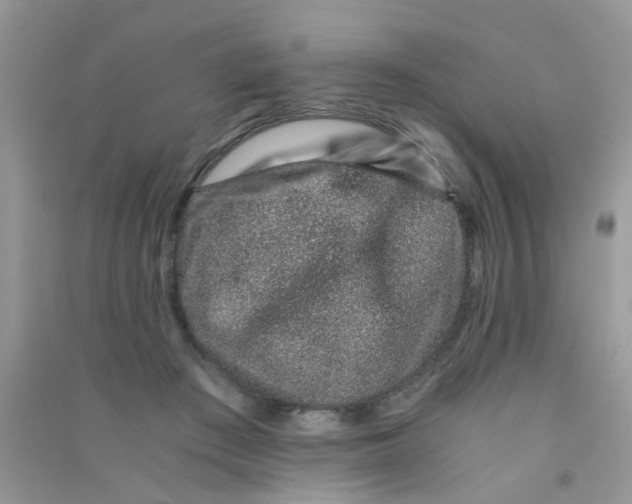 X0000090720409200708171930