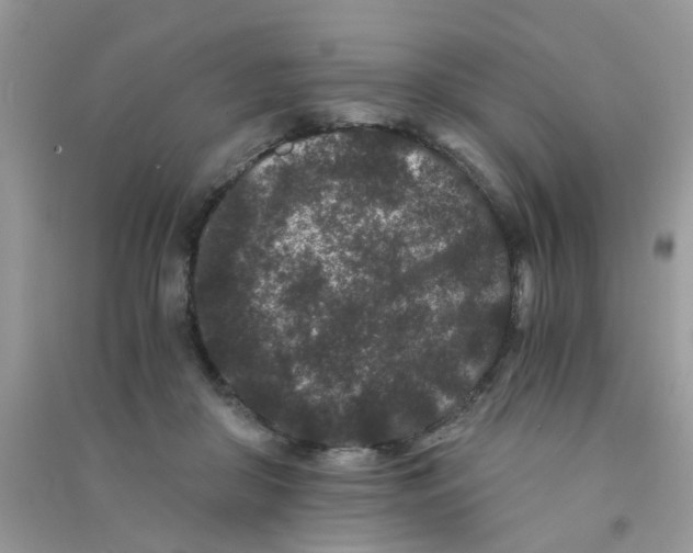 X0000090720410200708171930