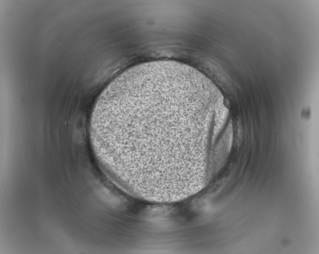 X0000090720414200708171930