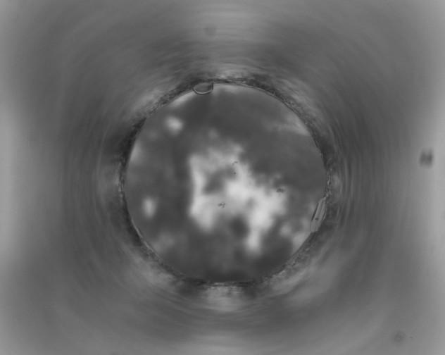 X0000090720415200708171930