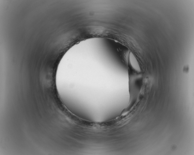 X0000090720416200708171930