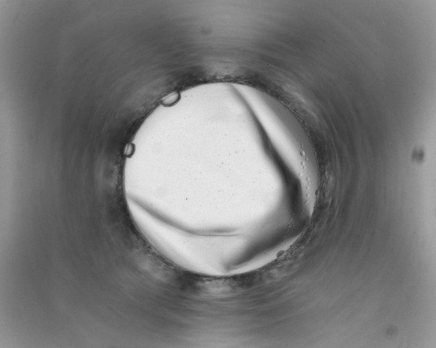 X0000090720417200708171930