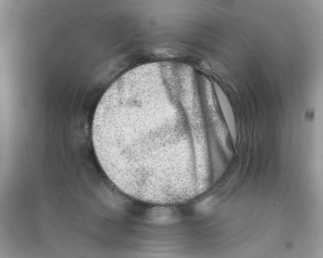 X0000090720418200708171930