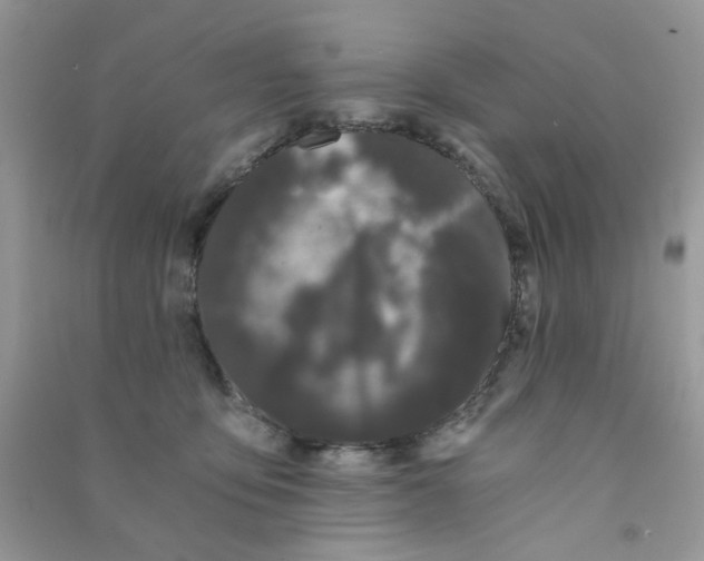 X0000090720419200708171930