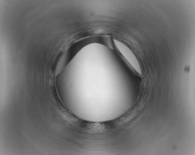 X0000090720421200708171930