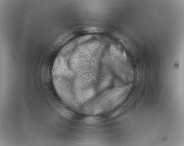 X0000090720422200708171930