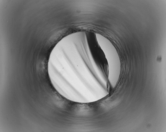 X0000090720424200708171930