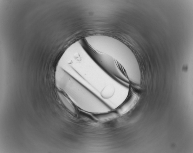 X0000090720425200708171930