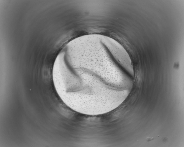 X0000090720426200708171930