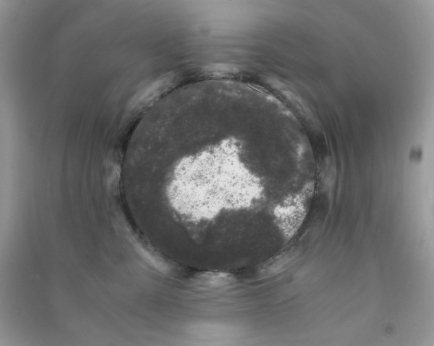 X0000090720427200708171930