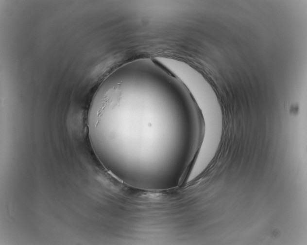 X0000090720428200708171930