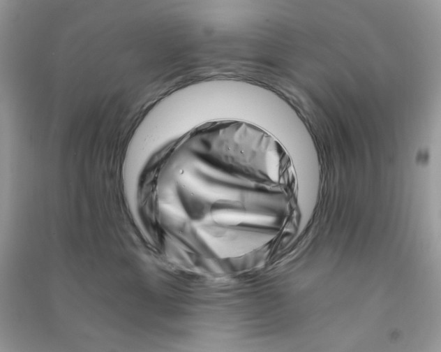 X0000090720429200708171930