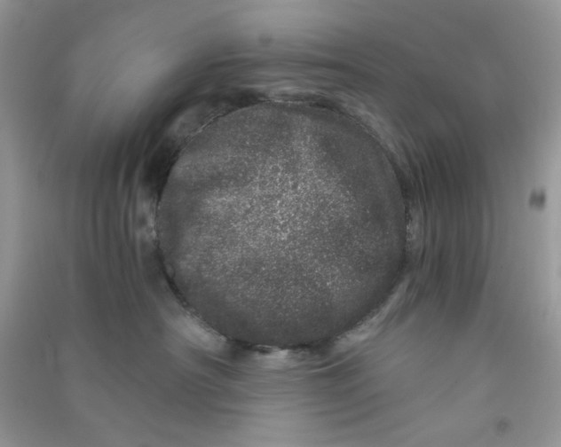 X0000090720430200708171930