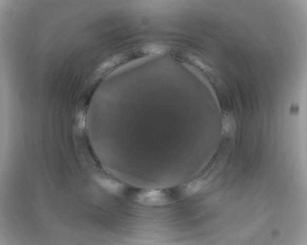 X0000090720431200708171930