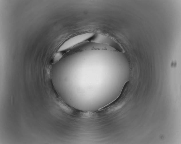 X0000090720432200708171930