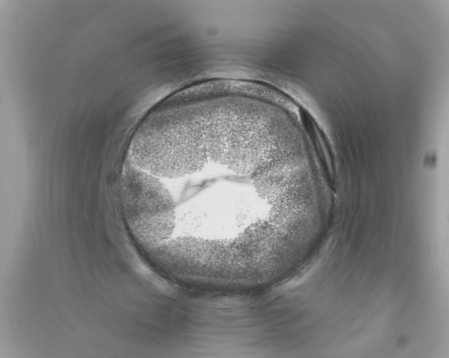 X0000090720433200708171930