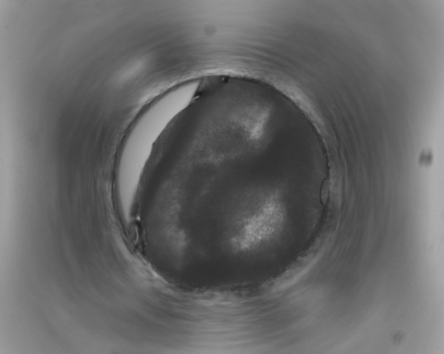 X0000090720434200708171930