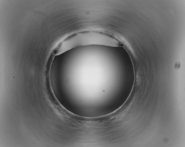 X0000090720436200708171930