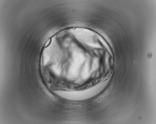 X0000090720437200708171930