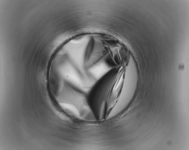 X0000090720438200708171930