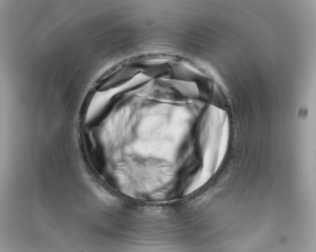 X0000090720439200708171930