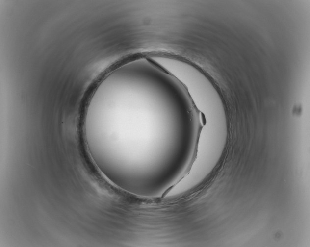 X0000090720440200708171930