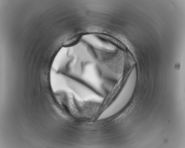 X0000090720441200708171930