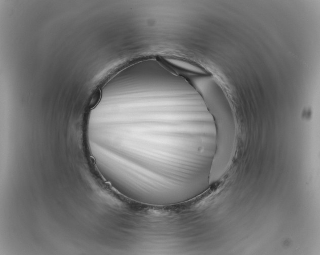 X0000090720442200708171930