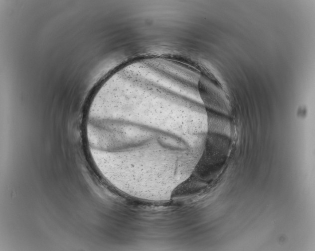 X0000090720443200708171930