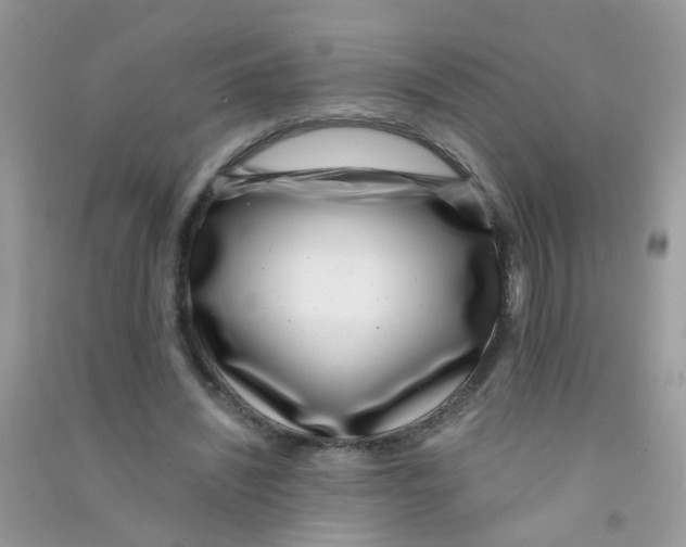 X0000090720444200708171930