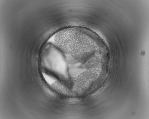 X0000090720445200708171930