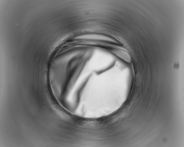 X0000090720446200708171930