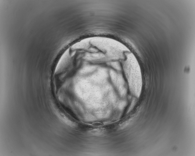 X0000090720447200708171930