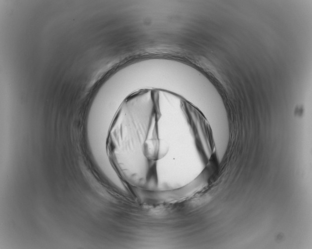 X0000090720448200708171930