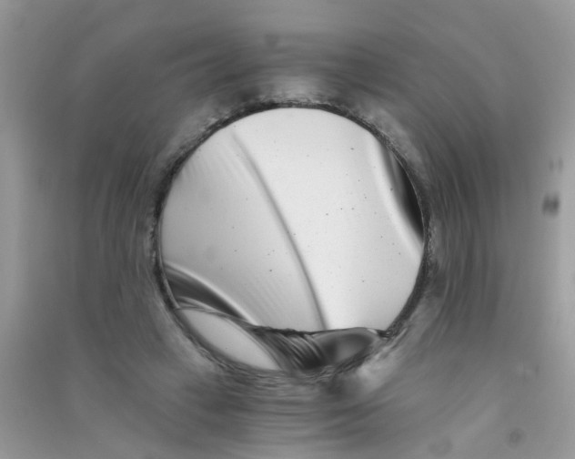 X0000090720449200708171930