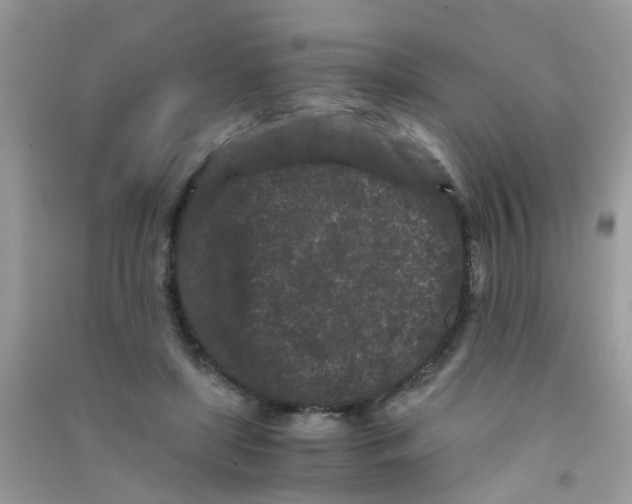 X0000090720451200708171930