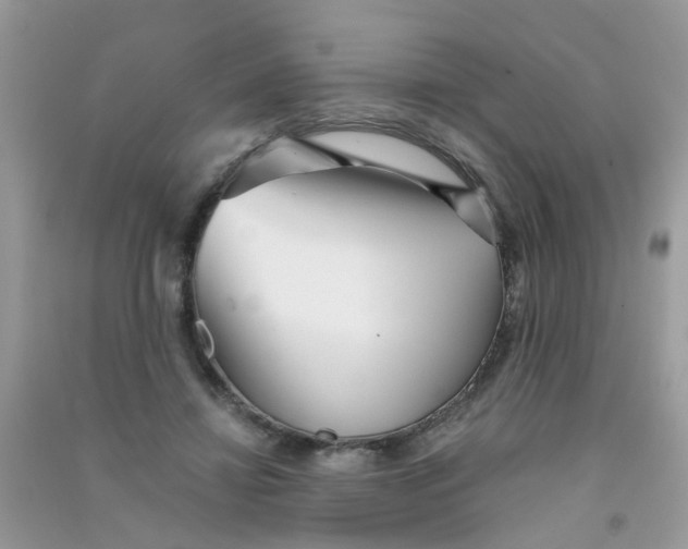 X0000090720452200708171930