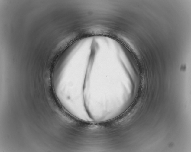 X0000090720453200708171930