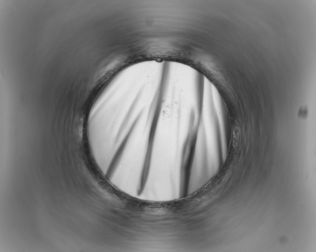 X0000090720454200708171930