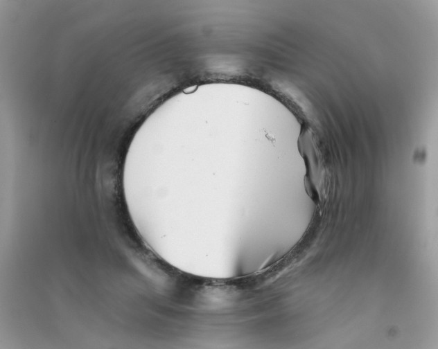 X0000090720455200708171930